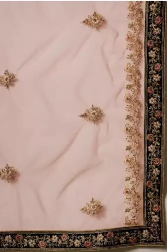 Multicolour Embroidered Lehenga choli with Blouse